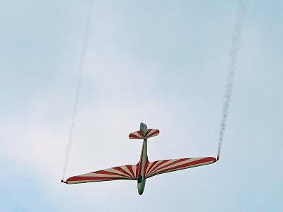 Hahnweide 2007 297 